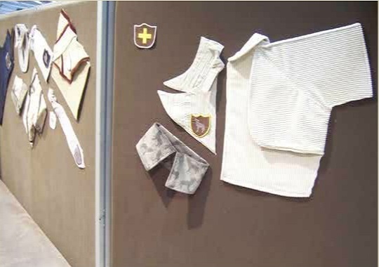 Idea Biella 2008